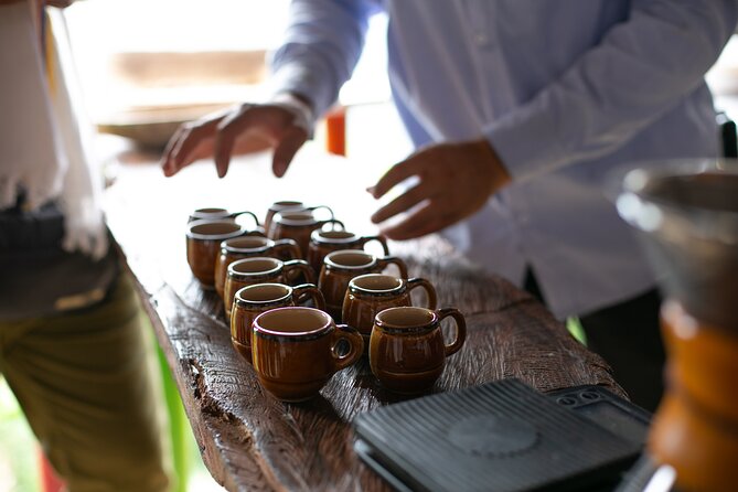 Coffee Tour with arrival on horseback and sugar cane processing - What the $75.90 price includes in practical terms