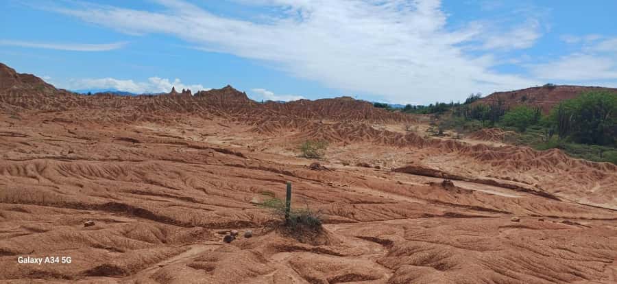 Community and Biodiversity Tour of the Tatacoa Neiva Desert - Lunch and an hour to slow down