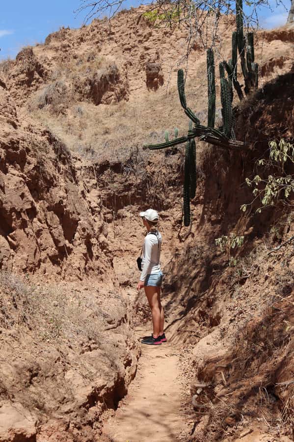 Community tour Biodiversity Latatacoa Desert Villavieja - More hiking, then Las Ventanas Mirador