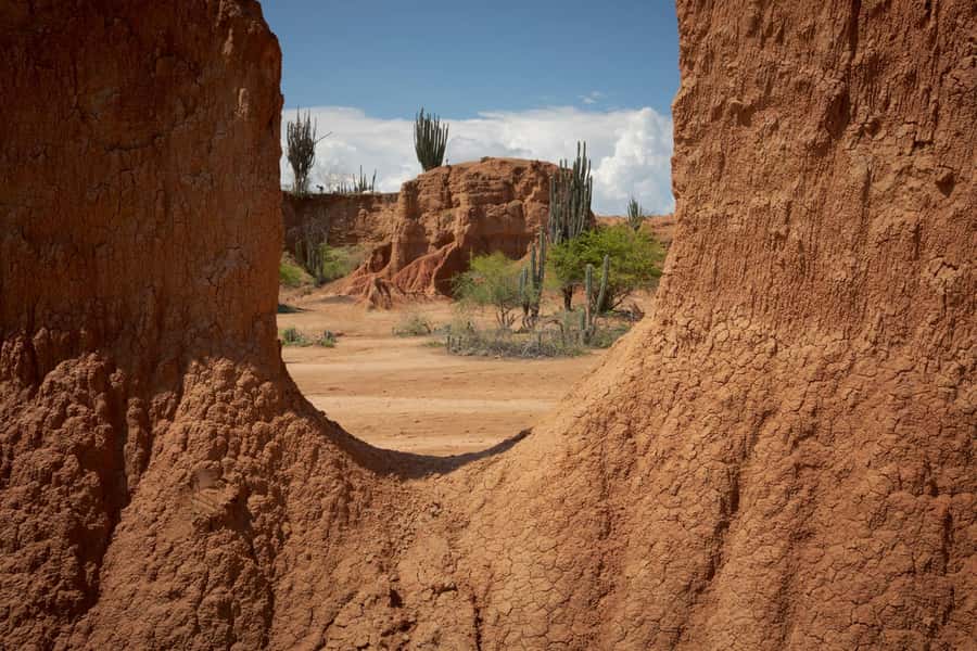 Community tour Biodiversity Latatacoa Desert Villavieja - Why this 12-hour Tatacoa tour is different