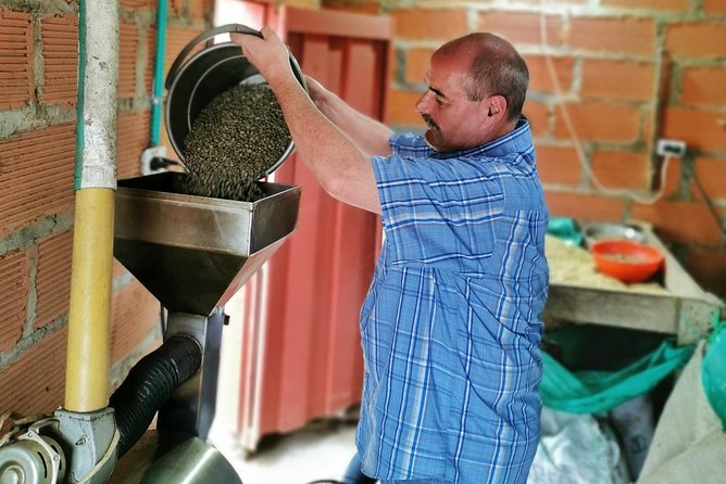 Comuna 13 & Coffee Farm Private Tour in Medellin | The Best Combo - Who should book this Medellín day?