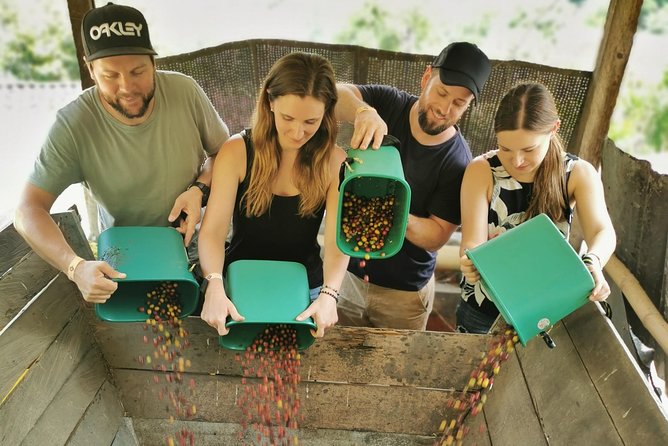 Comuna 13 & Coffee Farm Private Tour in Medellin | The Best Combo - Comuna 13 and the story told in its murals