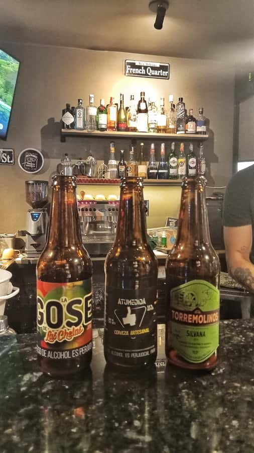 Craft Beer Pub Crawl in Cali - What the beer tasting is really like