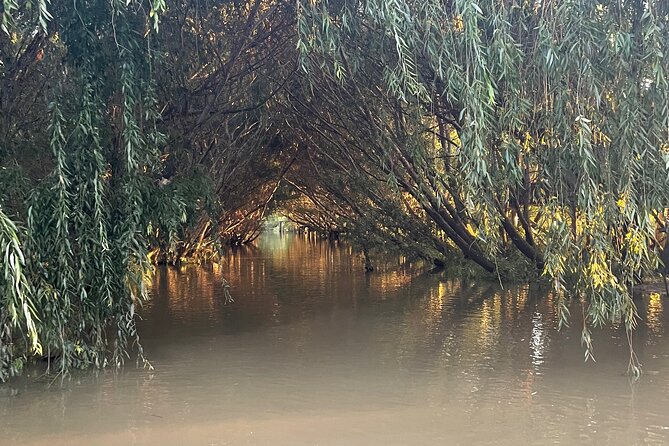 Customized Tigre Delta Tour lunch and drink included - Lunch with empanadas, pizza, and dessert