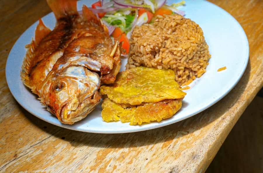 Daytour to Playa Tranquila VIP with Parasols, Lunch by bus! - Lunch, drinks, and the real cost of the day