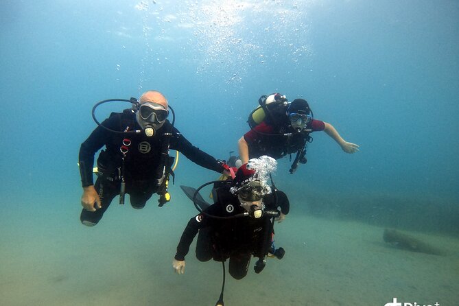 Diving baptism in the Marine Reserve of Cabo Tiñoso - Booking, cancellation, and practical planning