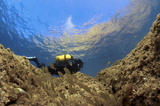 Diving baptism in the Marine Reserve of Cabo Tiñoso - Why the six-person limit matters