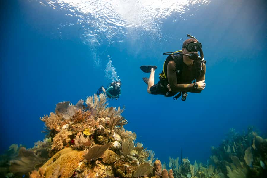 Diving Santa Marta & Tayrona for Certified Divers (2 tanks) - Leaving Santa Marta for Tayrona’s reefs