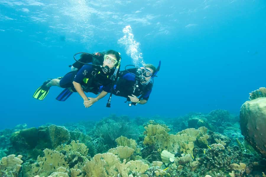 Diving Santa Marta & Tayrona for Certified Divers (2 tanks) - Who will enjoy this Santa Marta outing