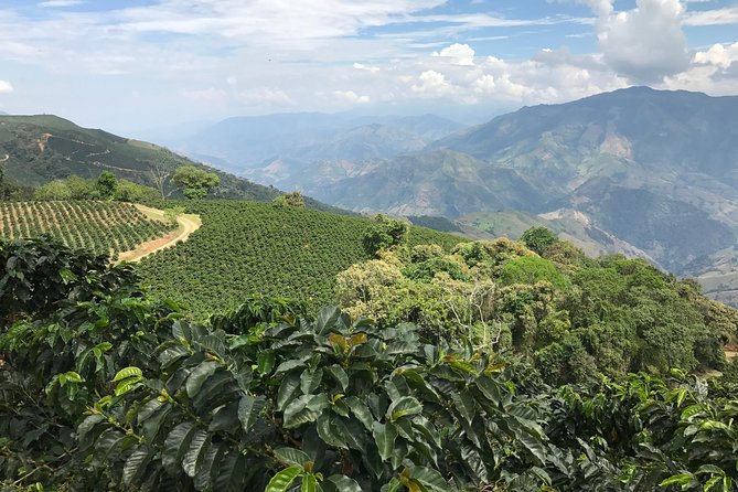 Do it yourself 11 days tour in Colombia (customizable) - Medellín in one concentrated day