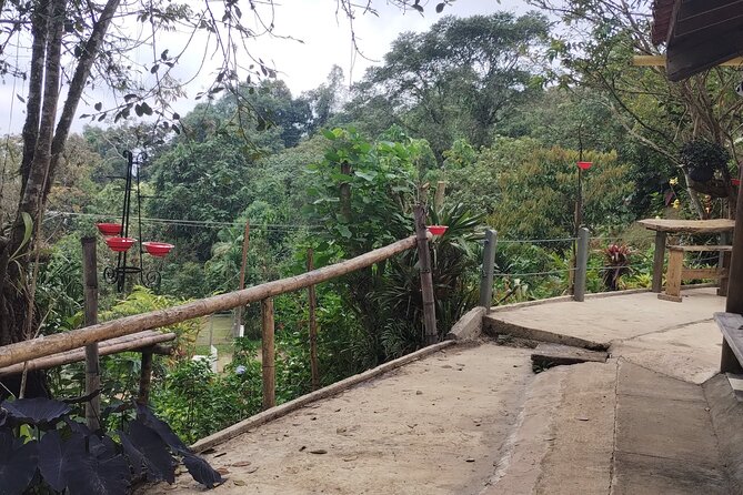 Easy Birdwatching in Cali Colombia (4 Hours) - Why the natural setup matters