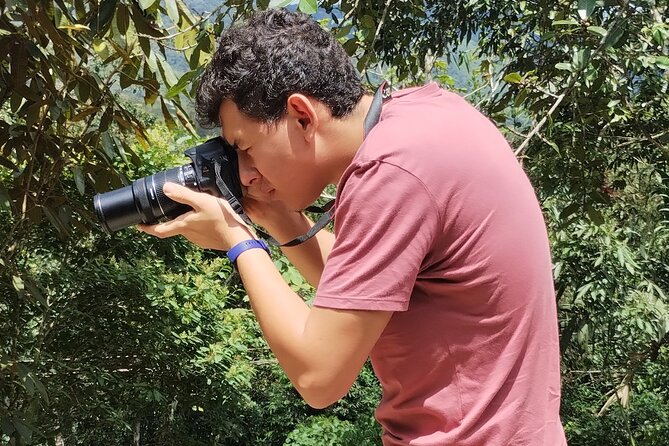 Easy Birdwatching in Cali Colombia (4 Hours) - Coffee, cool air, and a slower pace