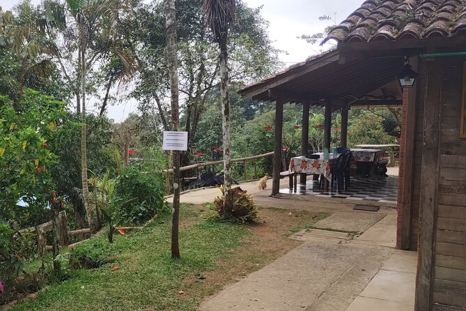 Easy Birdwatching in Cali Colombia (4 Hours) - A short stop with baby goats