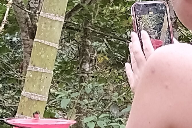 Easy Birdwatching in Cali Colombia (4 Hours) - What the four-hour schedule really gives you