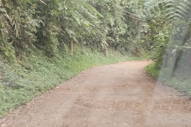 Easy Birdwatching in Cali Colombia (4 Hours) - Is $94.99 a fair price?