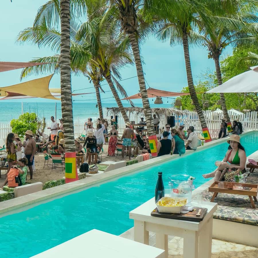 Eco-Luxury Beach Escape at Pink Mango, Tierra Bomba - A gourmet lunch with local ingredients