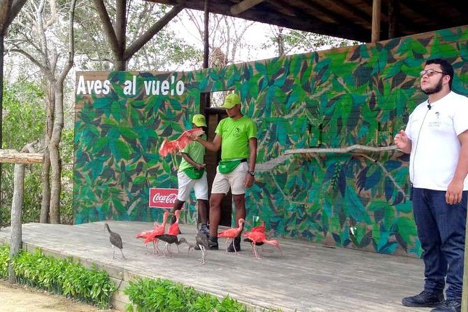 Eco Plan National Aviary and Lunch in Playa Mambo Beach Barú - Early pickup and the road to the Aviary