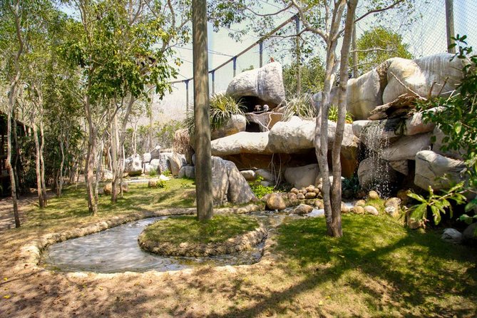Eco Plan National Aviary and Lunch in Playa Mambo Beach Barú - Walking through Colombia’s National Aviary