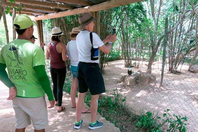 Eco Plan National Aviary and Lunch in Playa Mambo Beach Barú - What the $85 price really covers