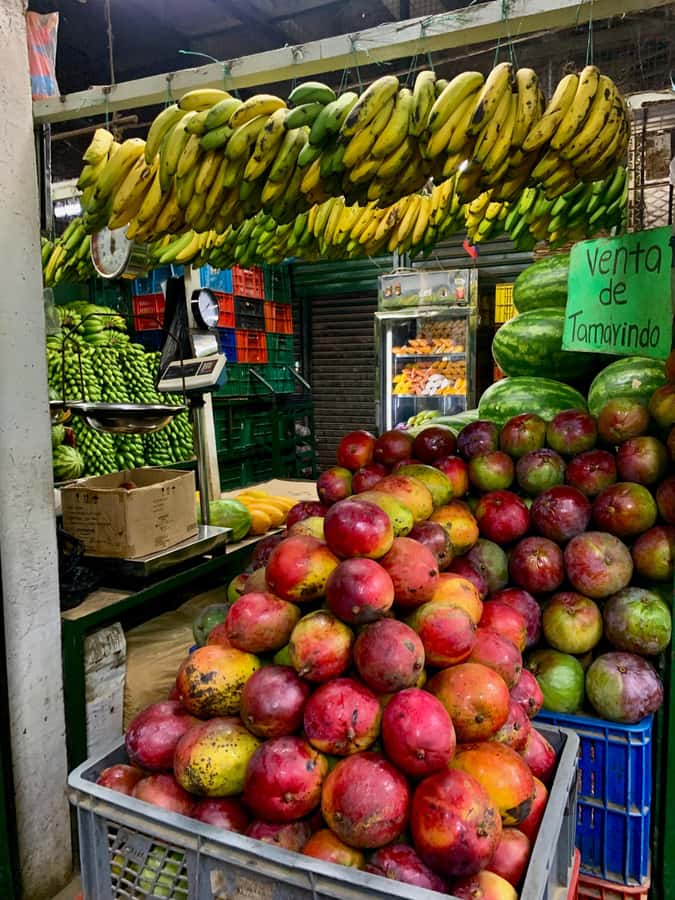 Essential Fruit Experience - Key points at a glance