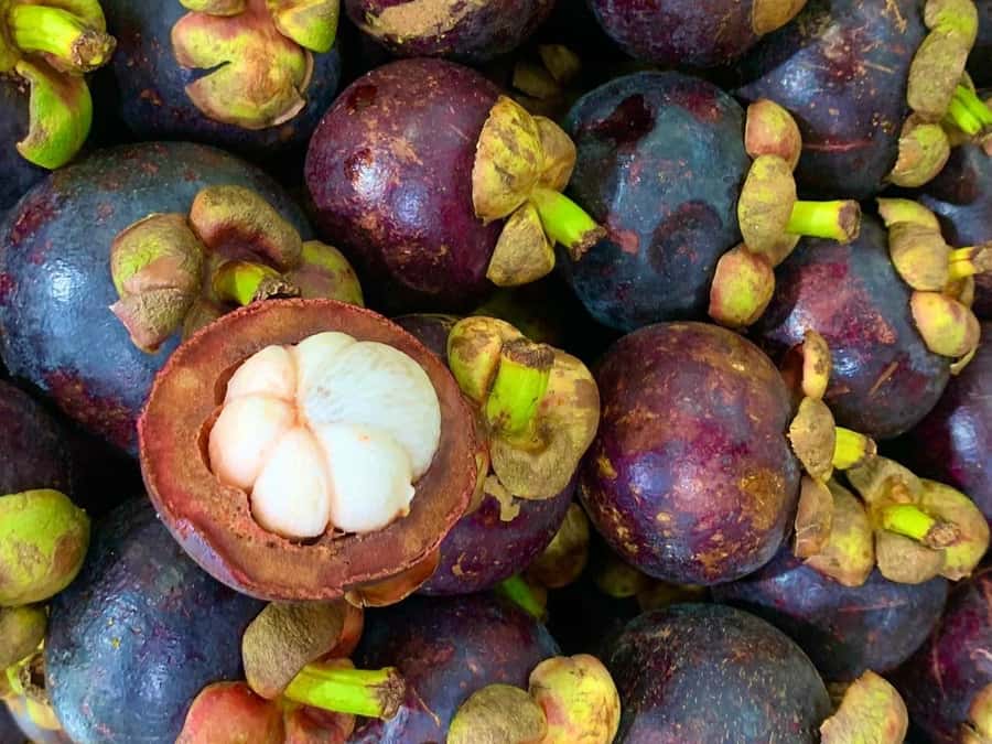 Essential Fruit Experience - The e-book gives the tasting a second life