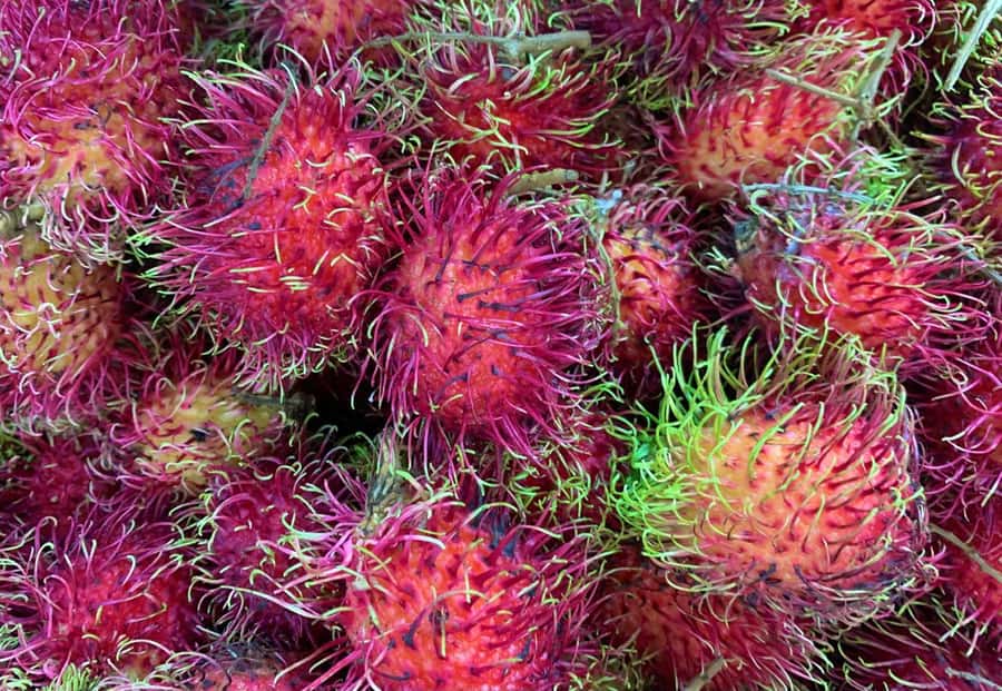 Essential Fruit Experience - Timing from 5:00 AM to 3:00 PM