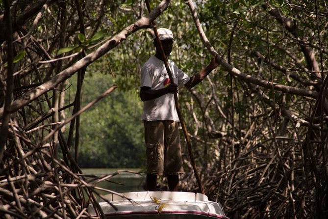 Explore La Boquilla’s Mangrove Tunnels with Local Fishermen - Key points before you book