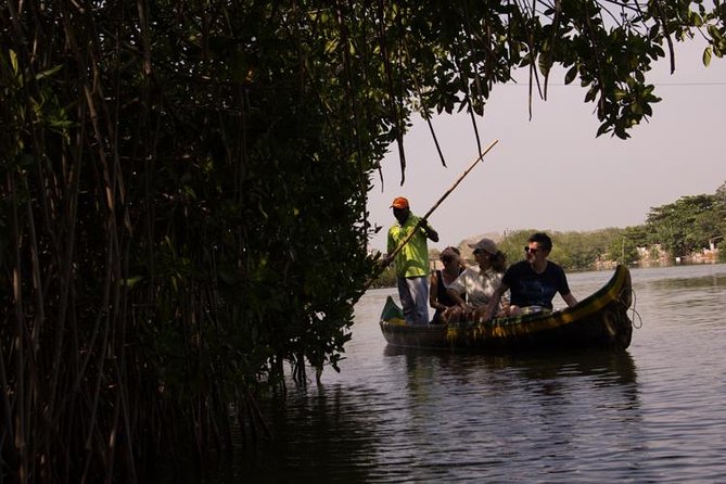 Explore La Boquilla’s Mangrove Tunnels with Local Fishermen - Leaving Cartagena for La Boquilla