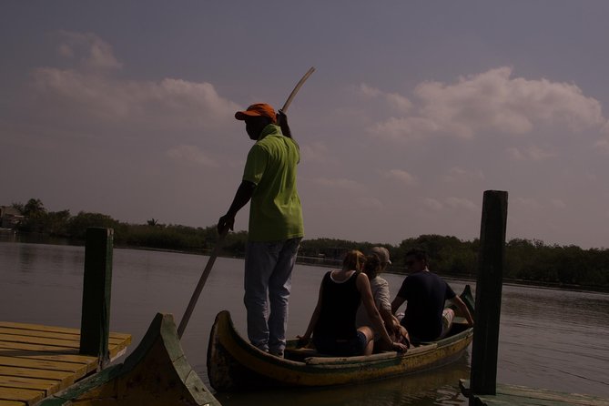 Explore La Boquilla’s Mangrove Tunnels with Local Fishermen - Timing, comfort, and what to wear