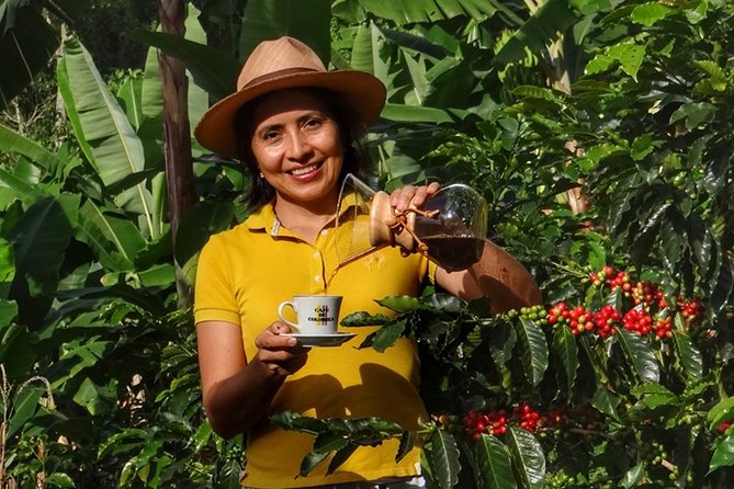 Explore the Coffee Process_From Tree to Cup & Fun by Jeep - Key points to know before you go