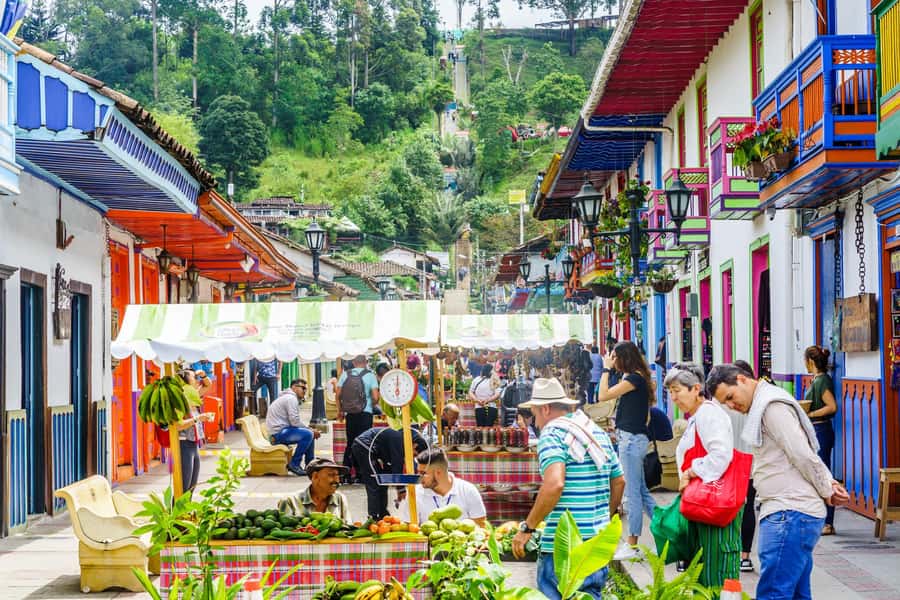 Filandia, Salento and Cocora Valley Private Tour - Should you book the Cocora, Salento, and Filandia tour?