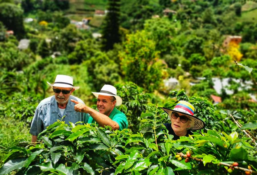 From Bogota: 5 hour guided coffe farm tour - All included - Walking through the coffee-growing process