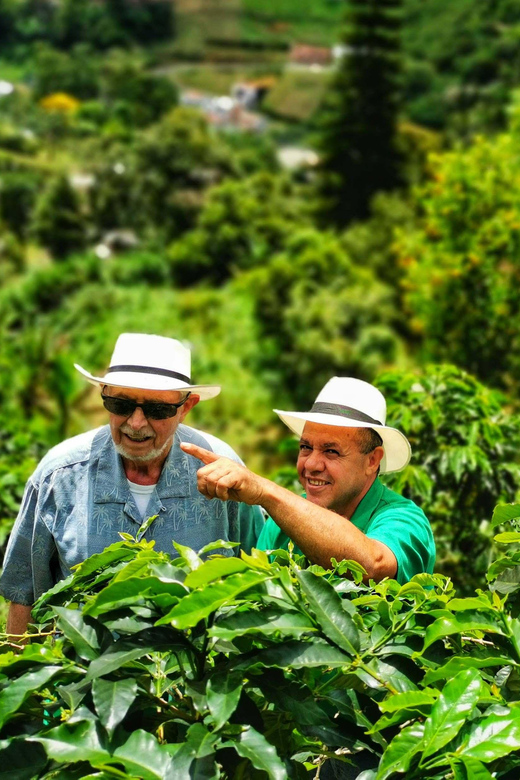 From Bogota: 5 hour guided coffe farm tour - All included - A traditional Colombian lunch at the end