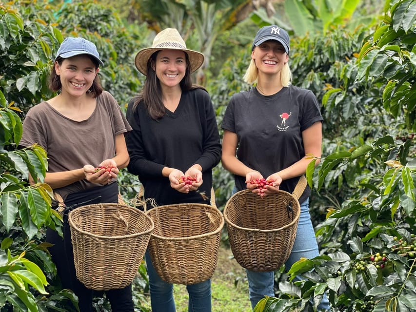 From Bogota: 5 hour guided coffe farm tour - All included - What the $118 price really covers
