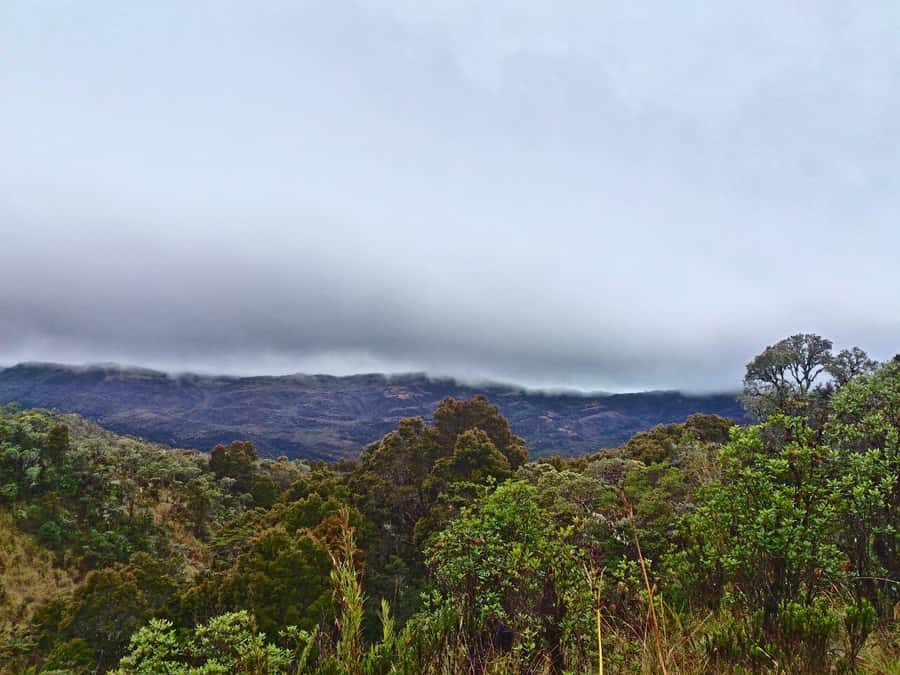 From Bogotá: Chingaza National Park Eco Tour - Why Chingaza feels far from Bogotá