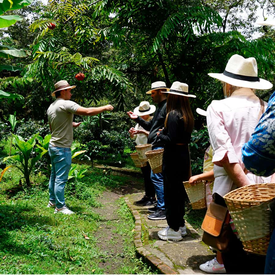 From Bogotá: Coffee Farm and Tequendama Falls Tour - Why this Bogotá day trip works