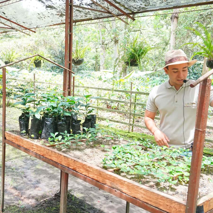 From Bogotá: Coffee Farm and Tequendama Falls Tour - Pickup in Bogotá and the long road south