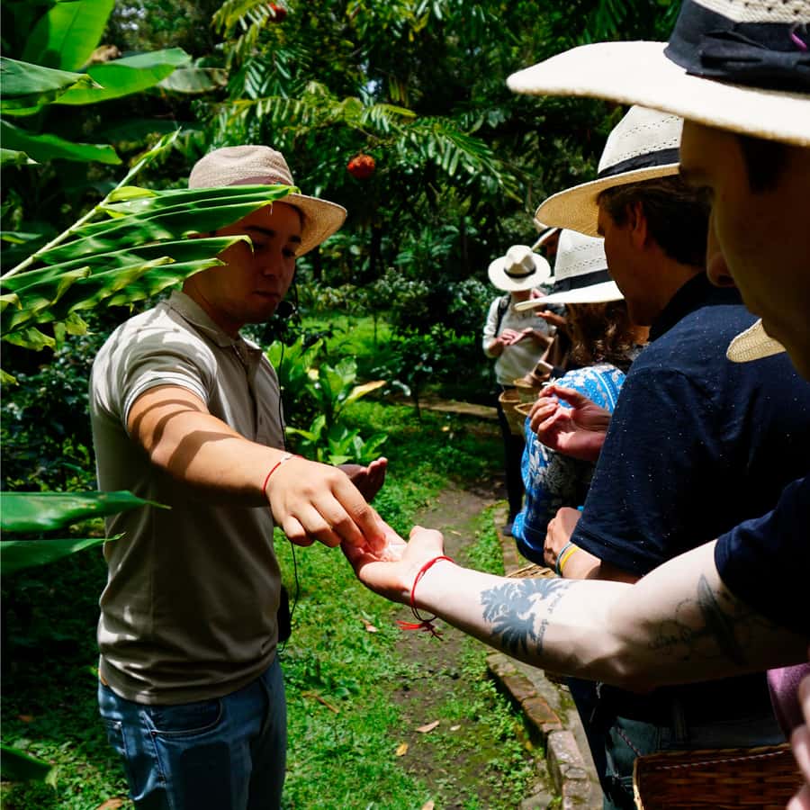 From Bogotá: Coffee Farm and Tequendama Falls Tour - The coffee farm near Fusagasugá