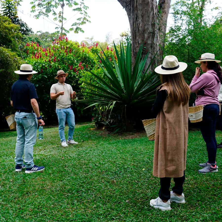 From Bogotá: Coffee Farm and Tequendama Falls Tour - How the $85 price measures up