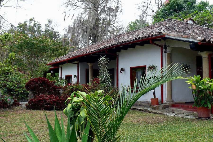 From Bogotá: Coffee Farm Experience Private Day Tour - Orchids, birds, and the quieter side of the farm