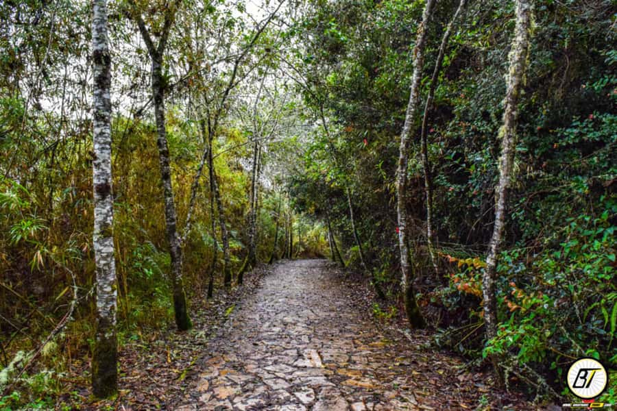 From Bogota: Guatavita Lake & Zipaquira Salt Cathedral Tour - Is $1,157 per person a fair price?