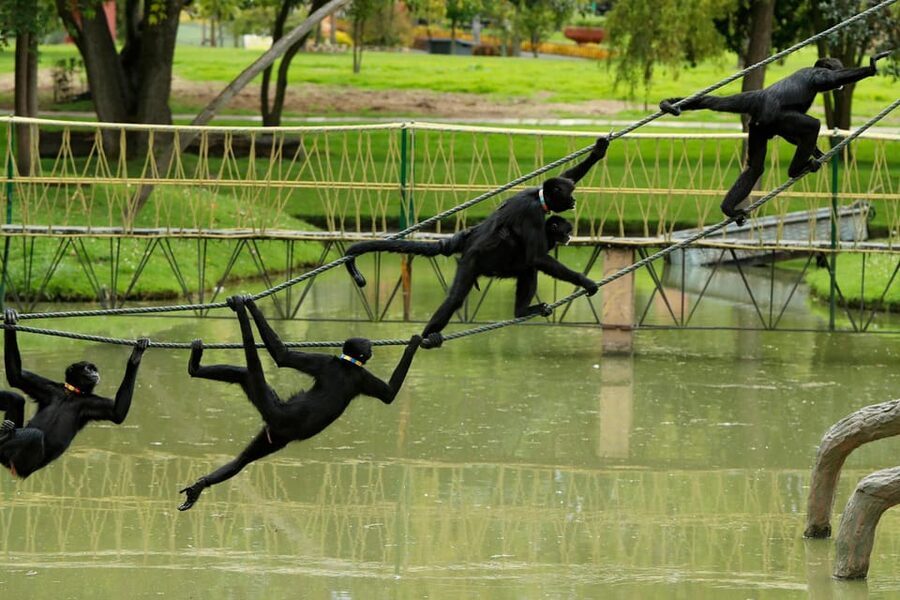 From Bogota: Jaime Duque Park and zoo with ticket included - A model Caribbean Sea with naval vessels