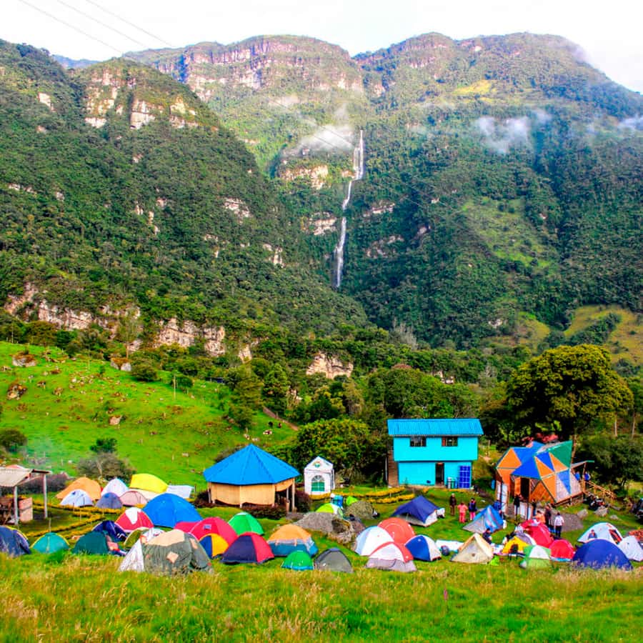 From Bogota: La Chorrera Waterfall Guided Hike - Why La Chorrera’s Biodiversity Matters