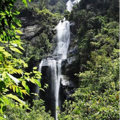 From Bogota: La Chorrera Waterfall Guided Hike