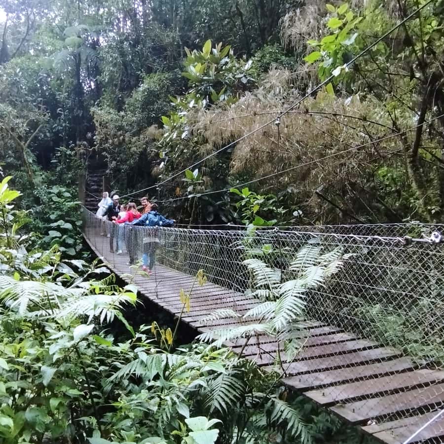 From Bogota: La Chorrera Waterfall Guided Hike - Practical Tips for a Smoother Day