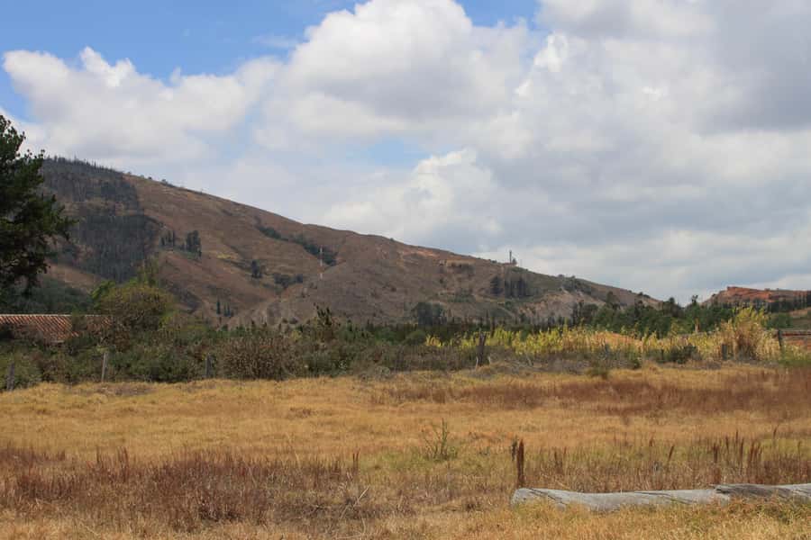 From Bogotá: Private Tour to Villa de Leyva - Walking Villa de Leyva and its great square