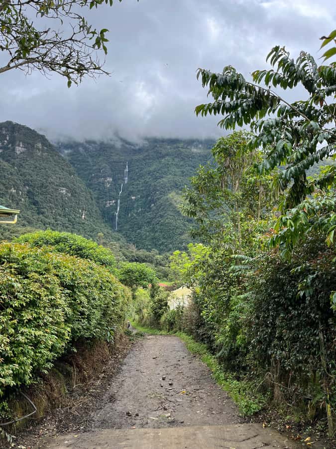 FROM BOGOTA: Tour to La Chorrera, Colombia's highest waterfall. - Key points at a glance