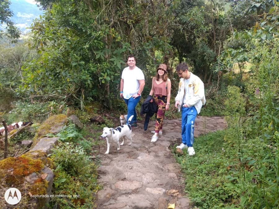 From Bogotá: Tour to the Waterfall of La Chorrera - Leaving Bogotá at 8:00 for the hills near Choachí