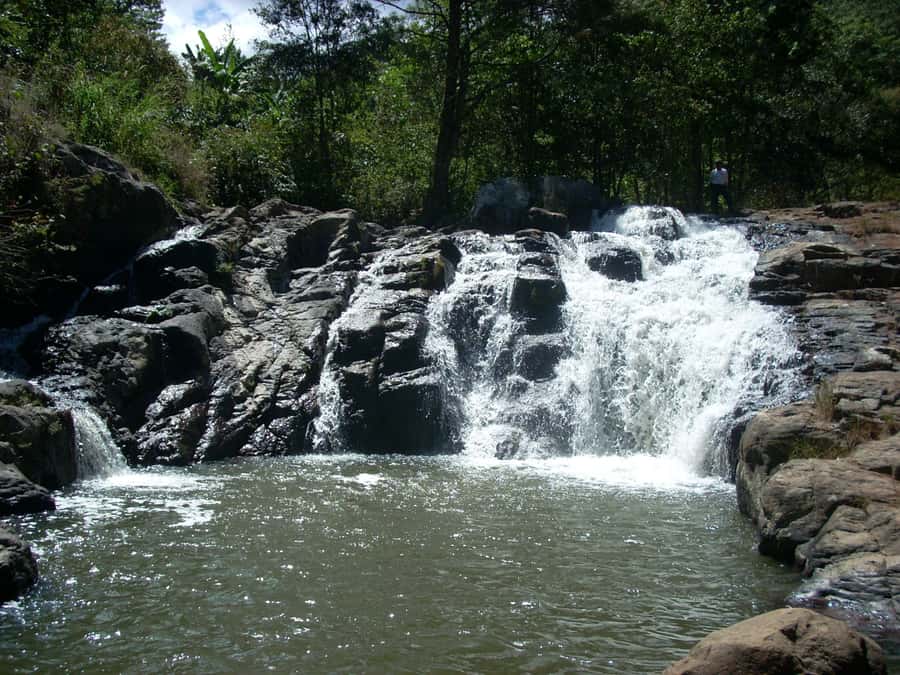 From Bogotá: Tour to the Waterfall of La Chorrera - Stone paths into the fog forest