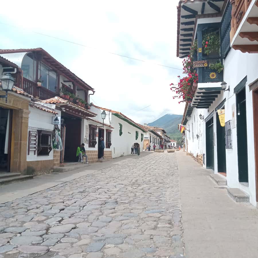 From Bogota: Villa de Leyva Day Magic Town Tour - The CIP Museum And A Taste Of Science